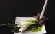 Eleganter Tischschmuck in weiß grün gehalten mit einer Lilie. Die Kerze steht in einer Blüte aus Gusseisen.